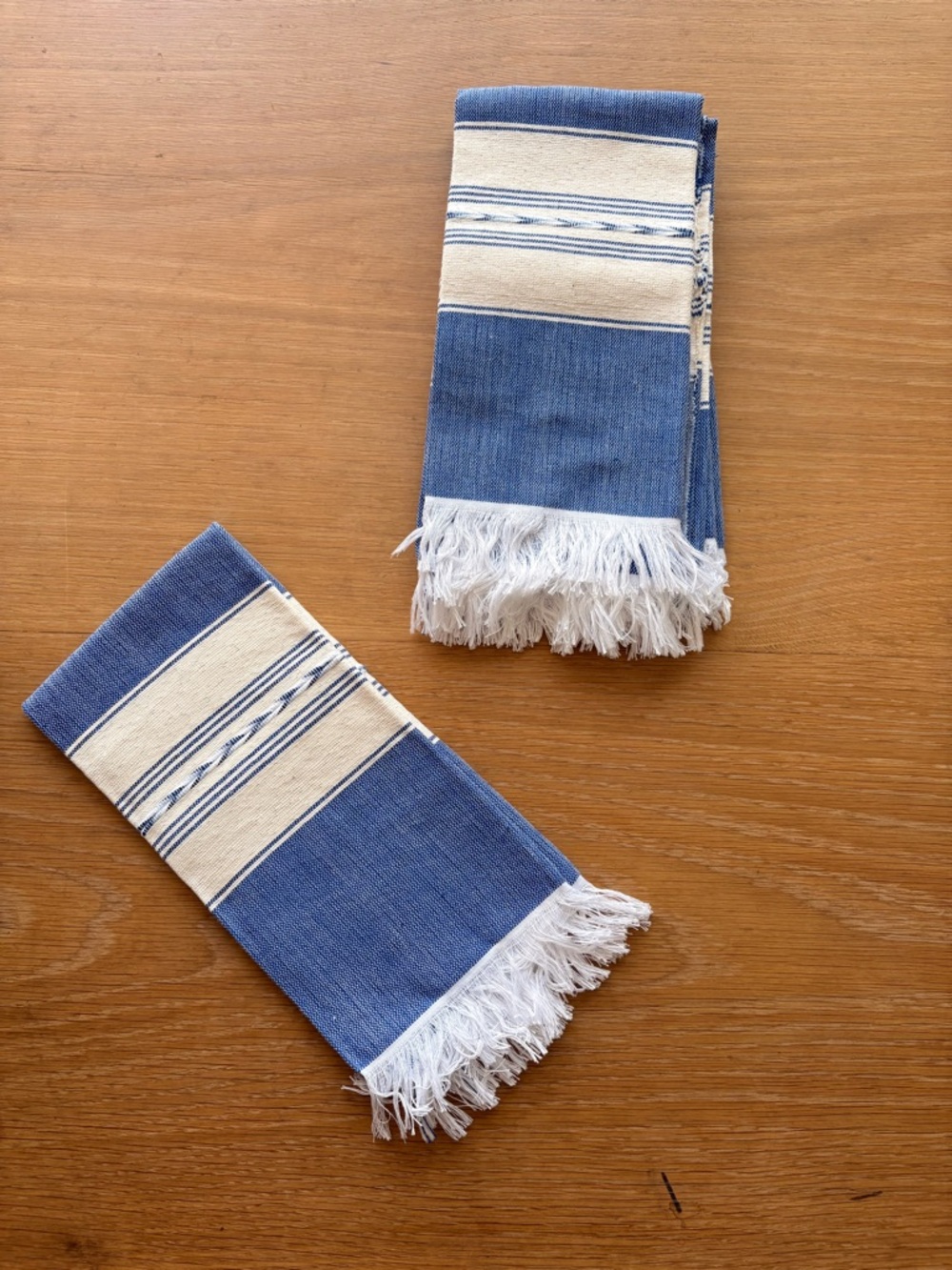 Blue & White Fringed Dinning Napkins - Set of 4